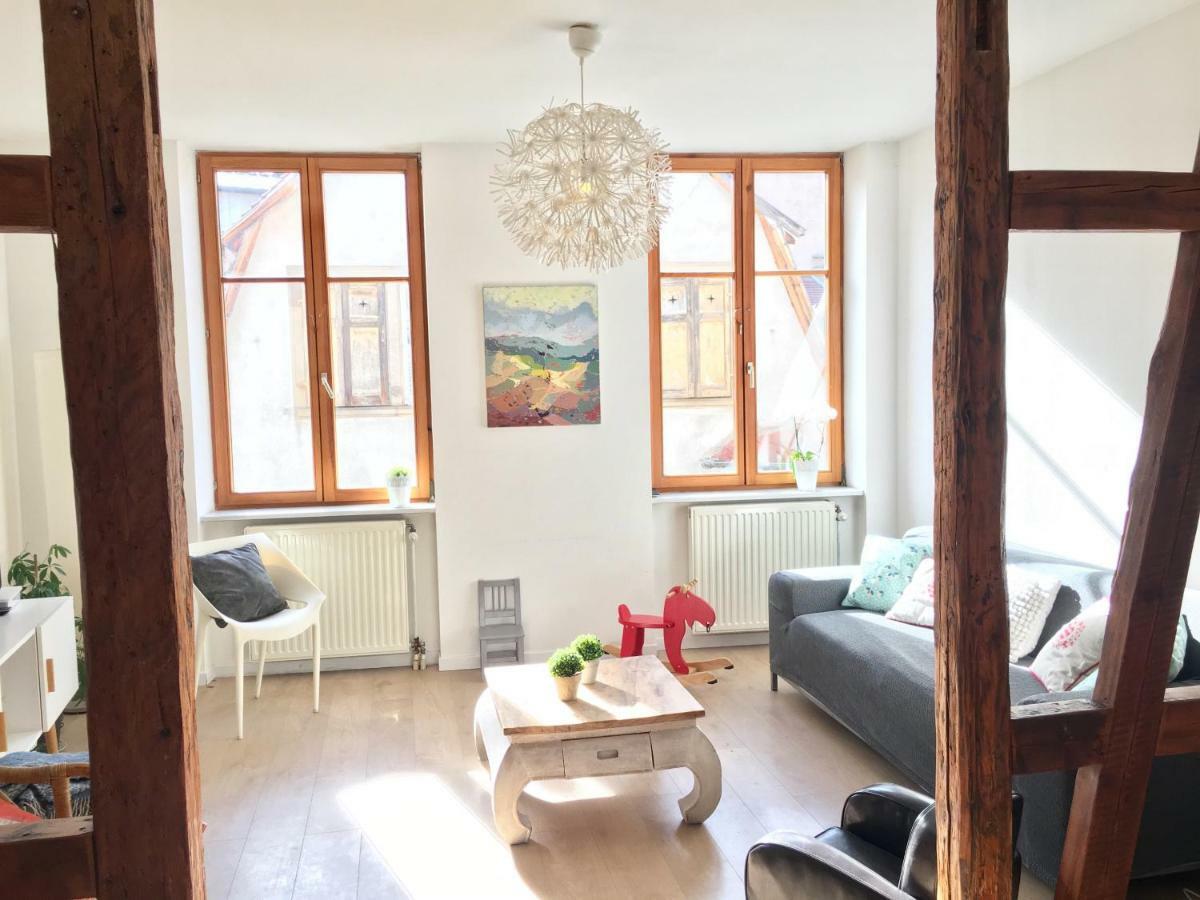 Gite Atelier De Hansi - Colmar Centre エクステリア 写真