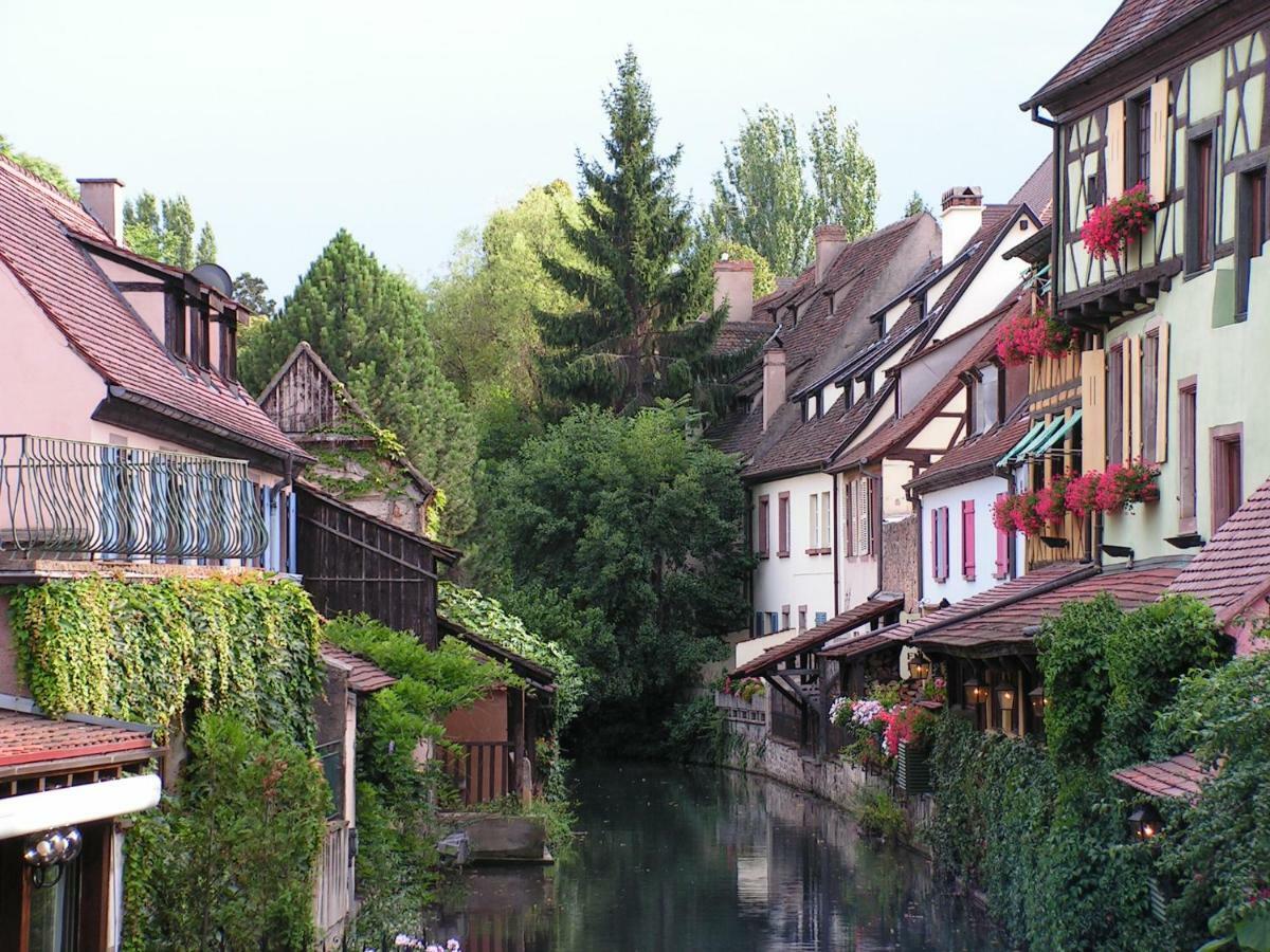 Gite Atelier De Hansi - Colmar Centre エクステリア 写真