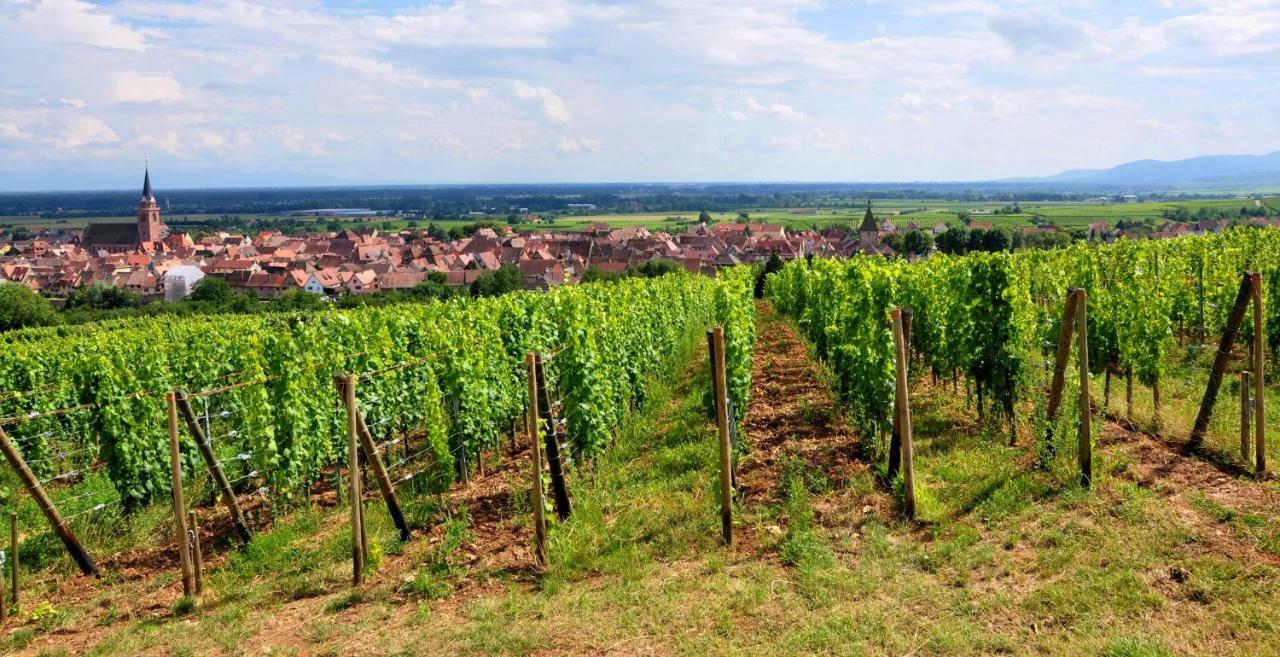 Gite Atelier De Hansi - Colmar Centre エクステリア 写真
