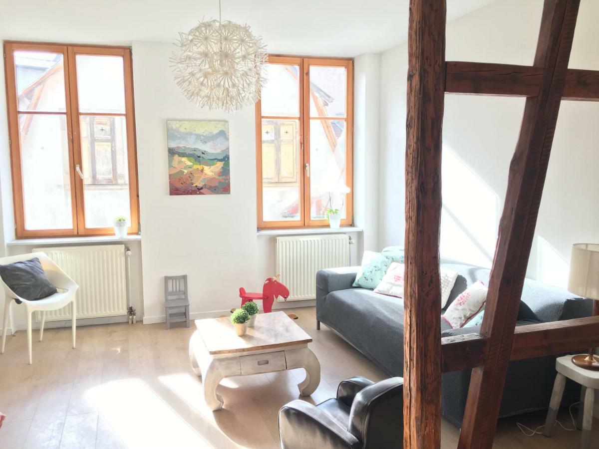 Gite Atelier De Hansi - Colmar Centre エクステリア 写真